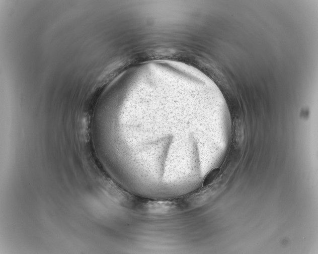 X0000090500378200708102246