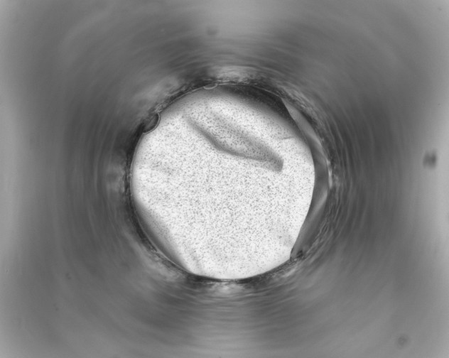 X0000090500379200708102246