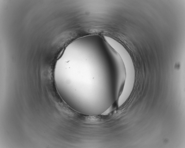 X0000090500380200708102246