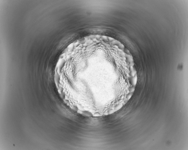X0000090500381200708102246