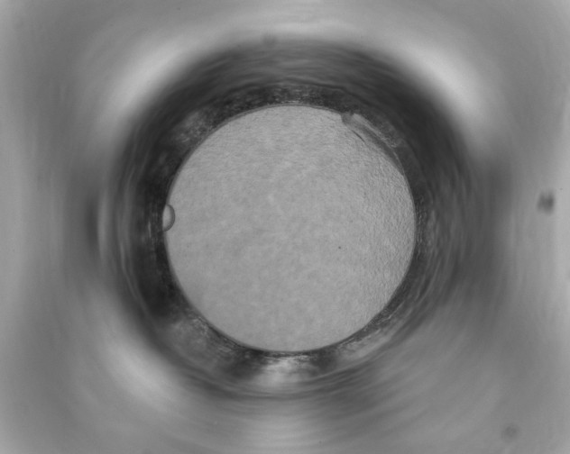 X0000090500382200708102246