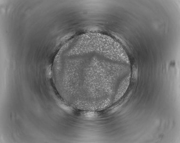 X0000090500383200708102246