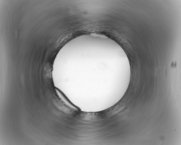 X0000090500384200708102246