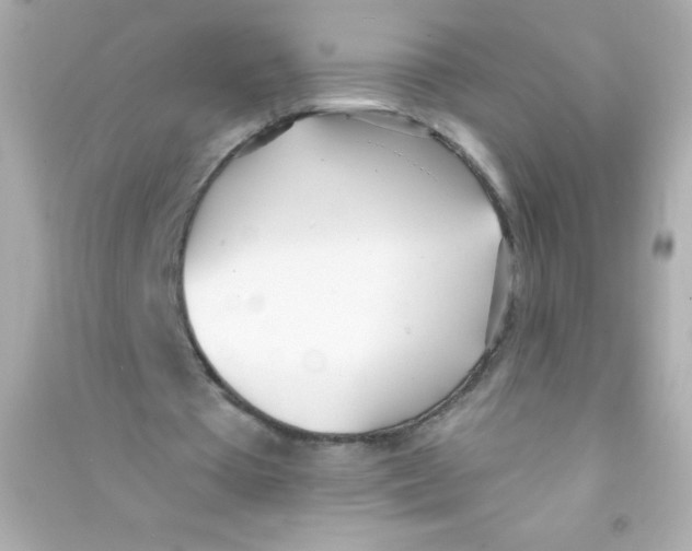 X0000090500385200708102245