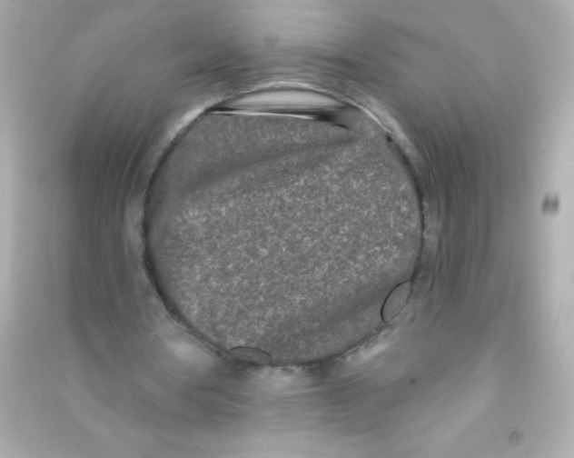 X0000090500386200708102245