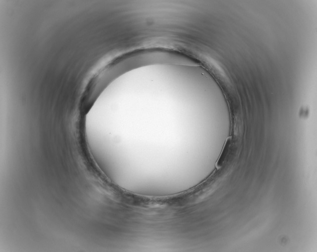 X0000090500388200708102245