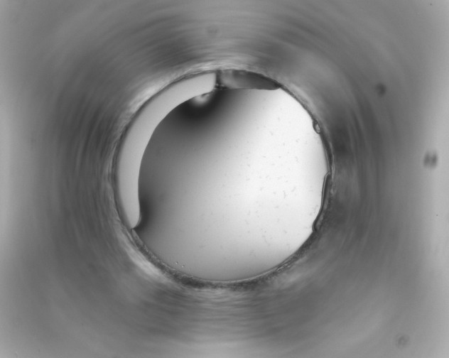 X0000090500389200708102245