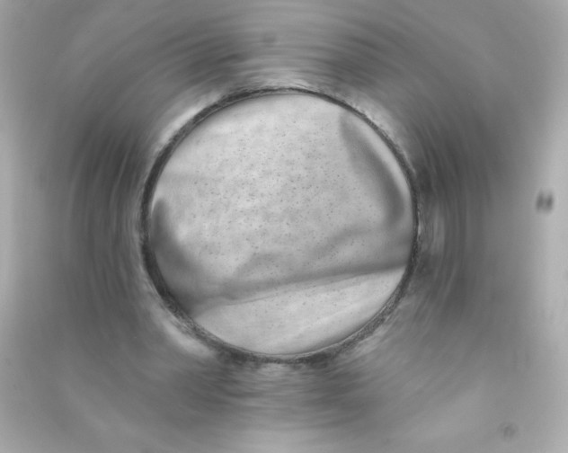 X0000090500390200708102245