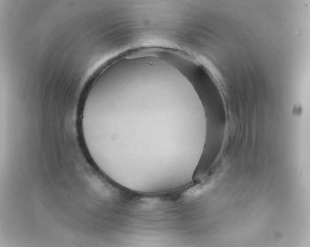 X0000090500391200708102245