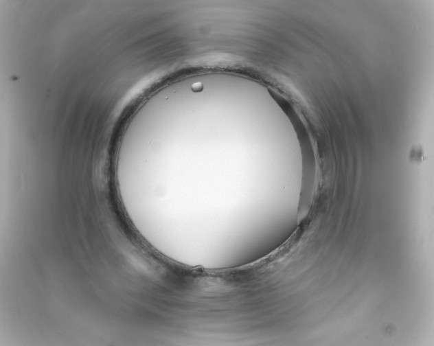 X0000090500392200708102245