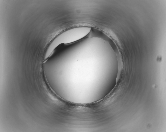 X0000090500393200708102245