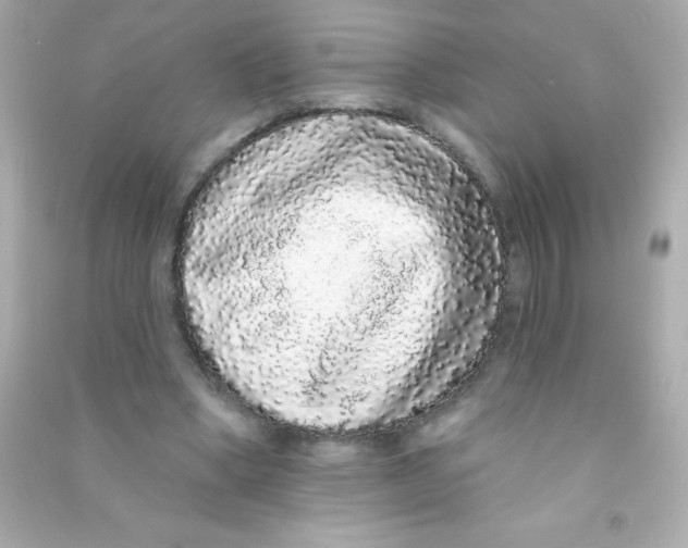 X0000090500394200708102245