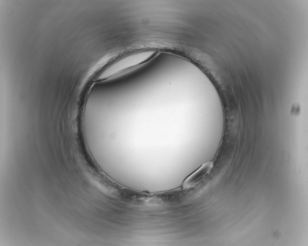 X0000090500395200708102245