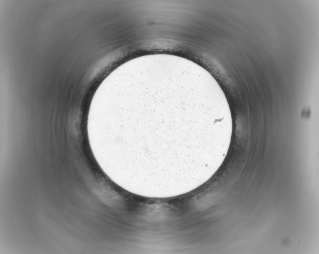 X0000090500396200708102245