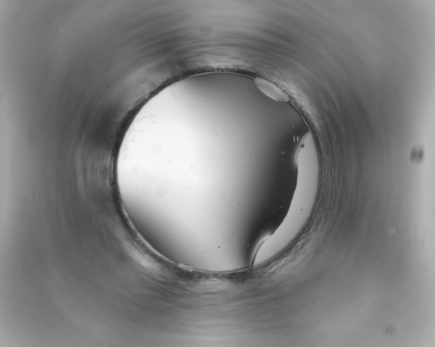 X0000090500397200708102245