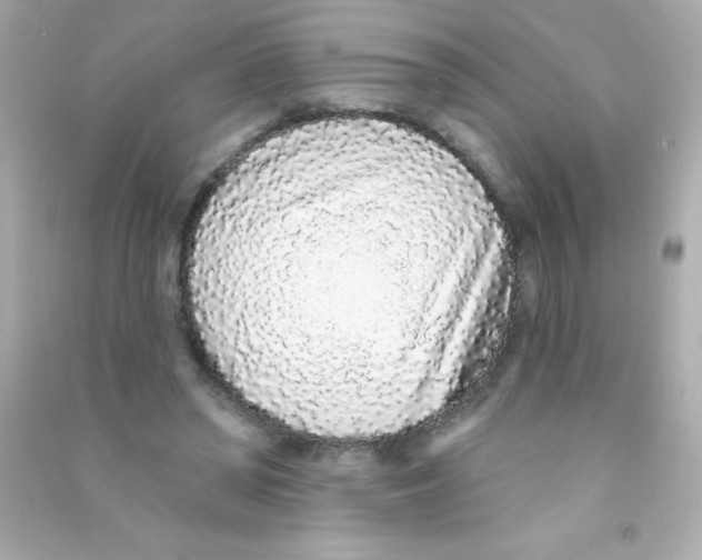 X0000090500398200708102245