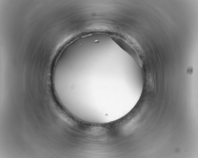 X0000090500399200708102245