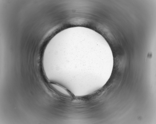 X0000090500400200708102245