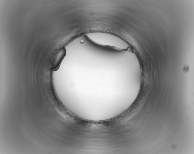 X0000090500401200708102245