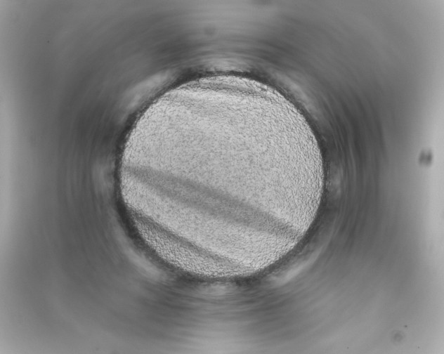 X0000090500402200708102245