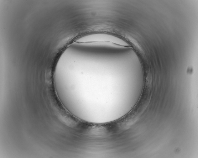 X0000090500403200708102245
