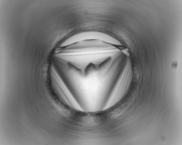 X0000090500404200708102245
