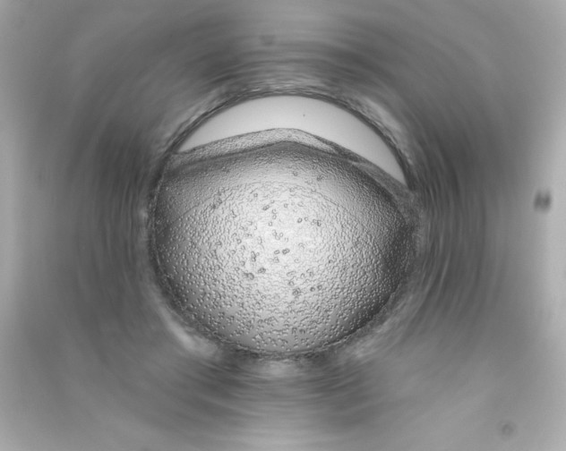 X0000090500405200708102245