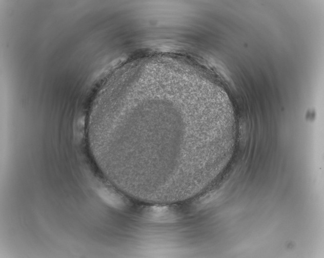 X0000090500406200708102245
