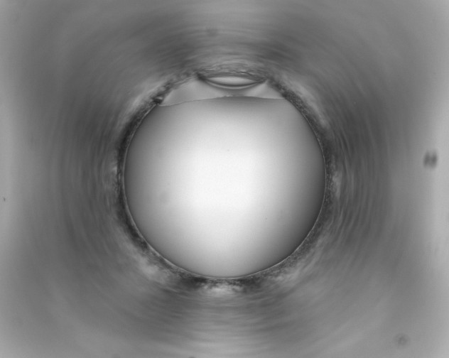 X0000090500407200708102245