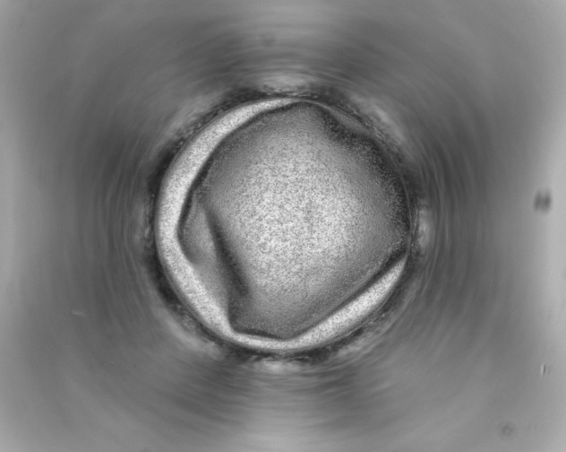 X0000090500408200708102245