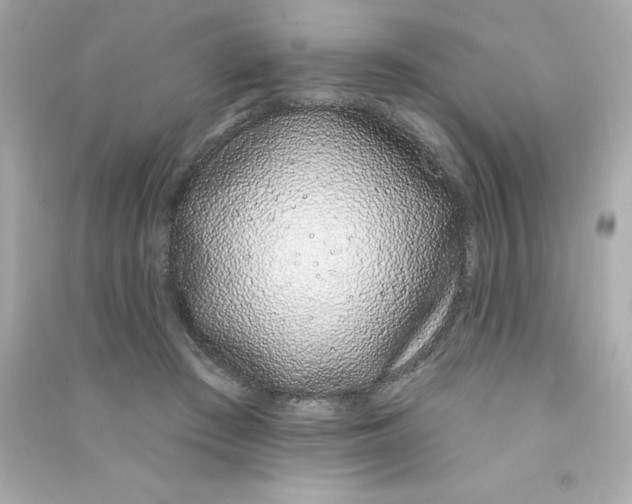 X0000090500409200708102245