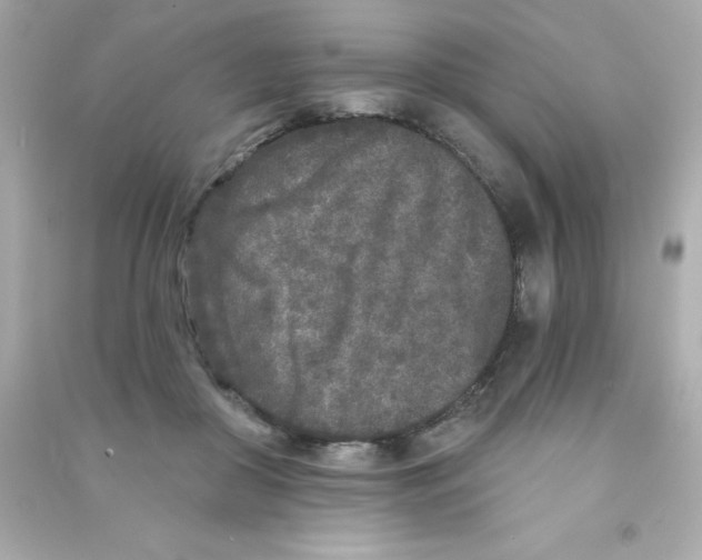 X0000090500410200708102245