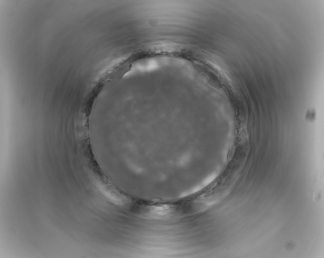 X0000090500411200708102245