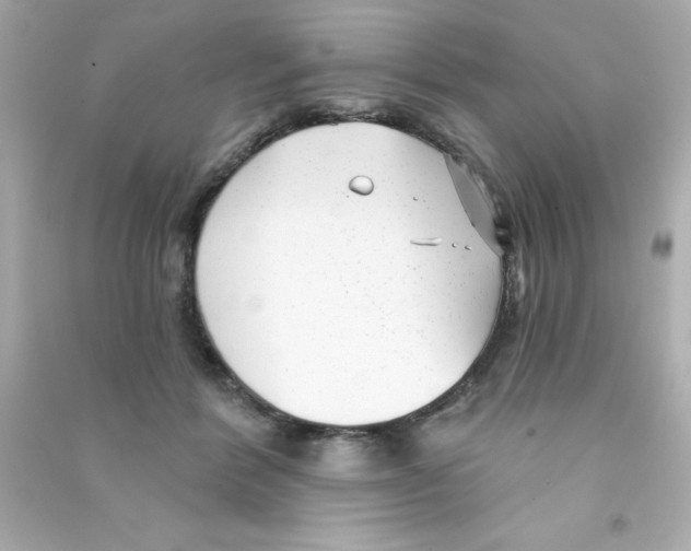 X0000090500412200708102245
