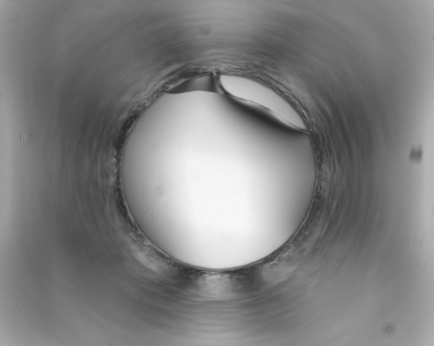 X0000090500413200708102245