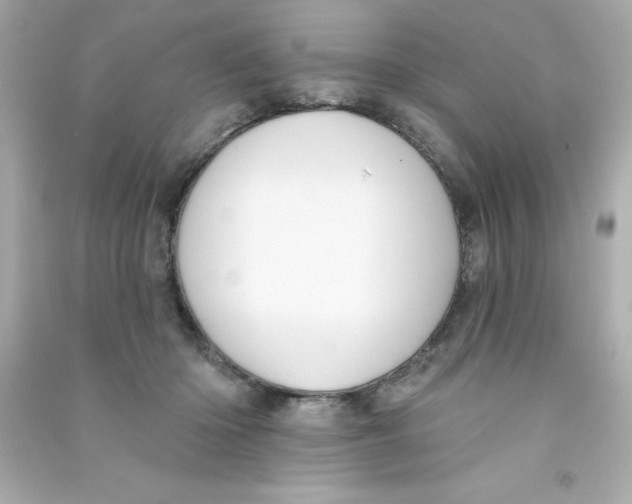 X0000090500414200708102245