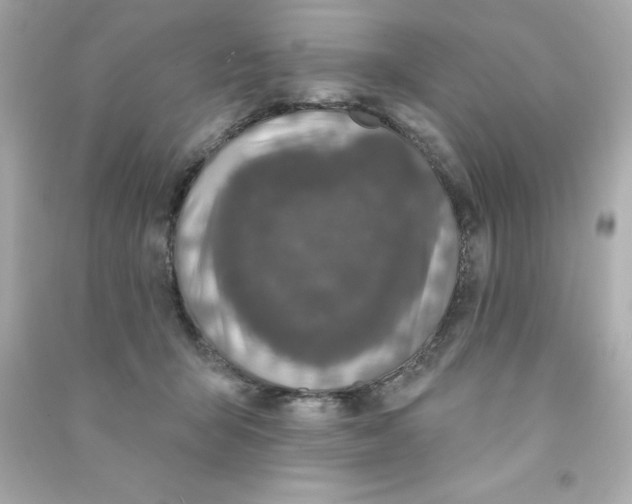 X0000090500415200708102245