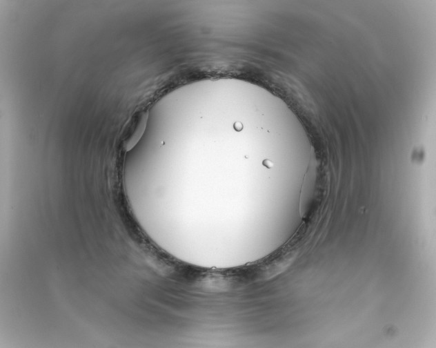 X0000090500416200708102245