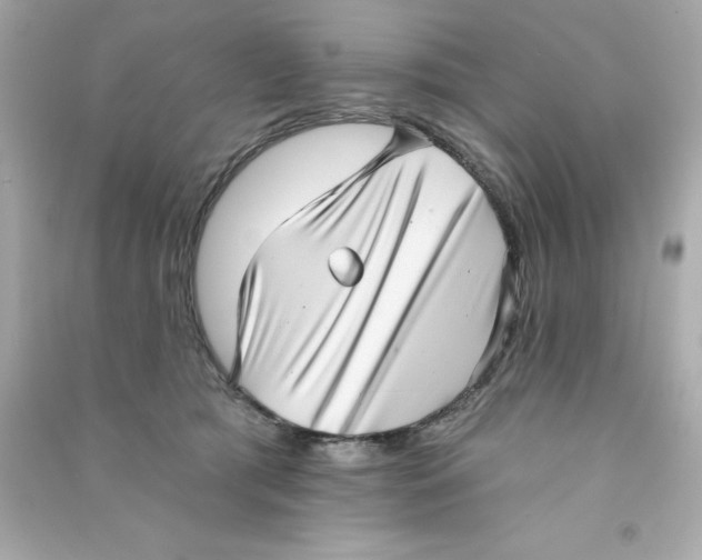 X0000090500417200708102245