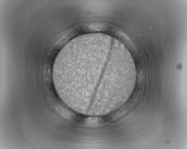 X0000090500418200708102245