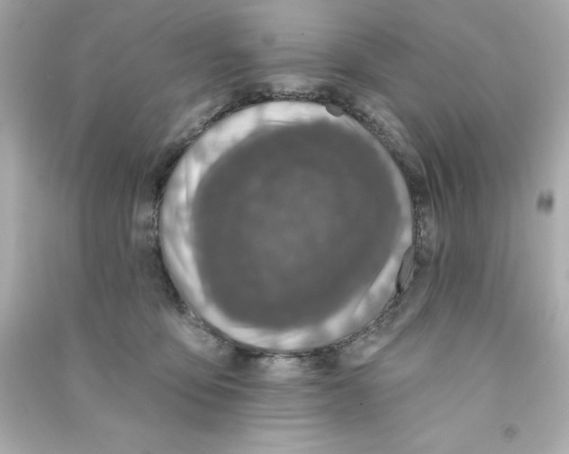 X0000090500419200708102245