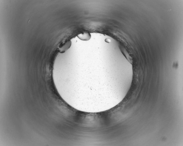 X0000090500420200708102245
