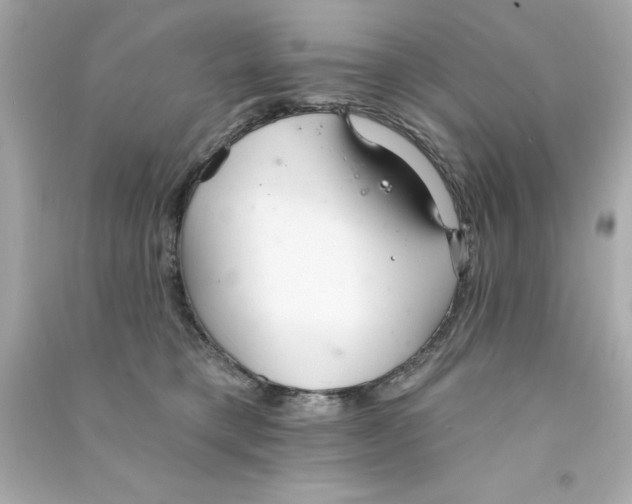 X0000090500421200708102245