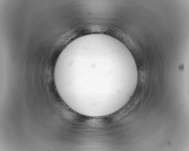 X0000090500422200708102245