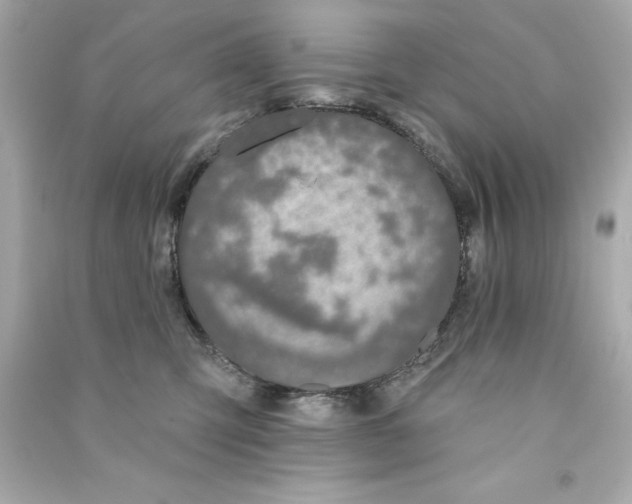 X0000090500423200708102245