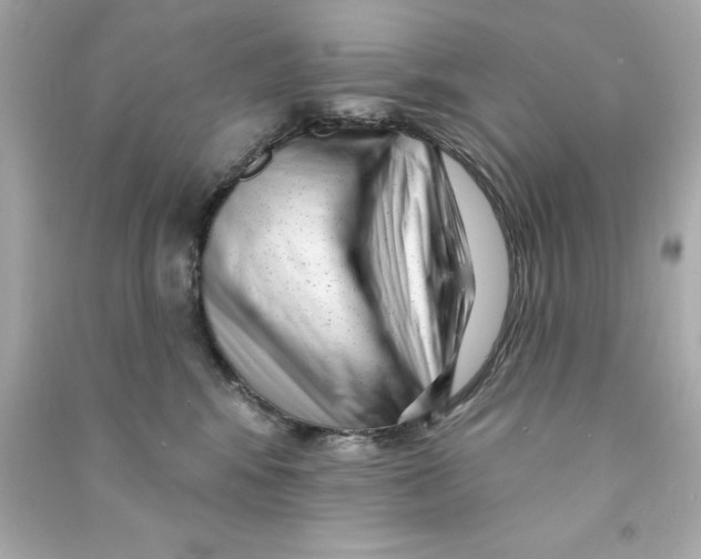 X0000090500424200708102245