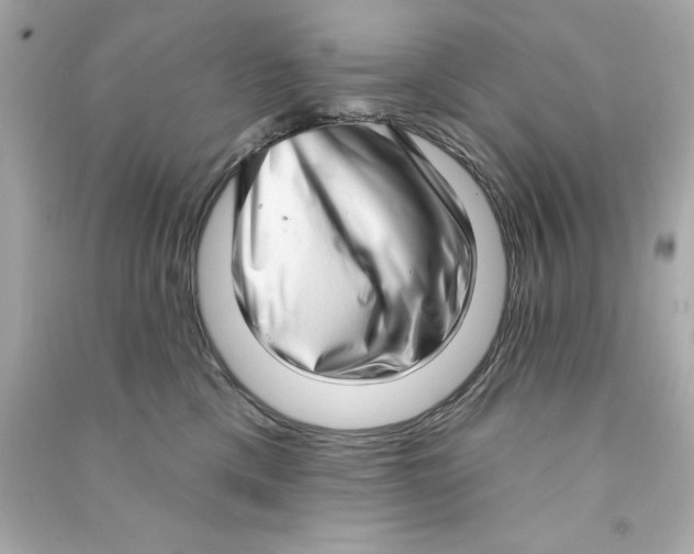 X0000090500425200708102245