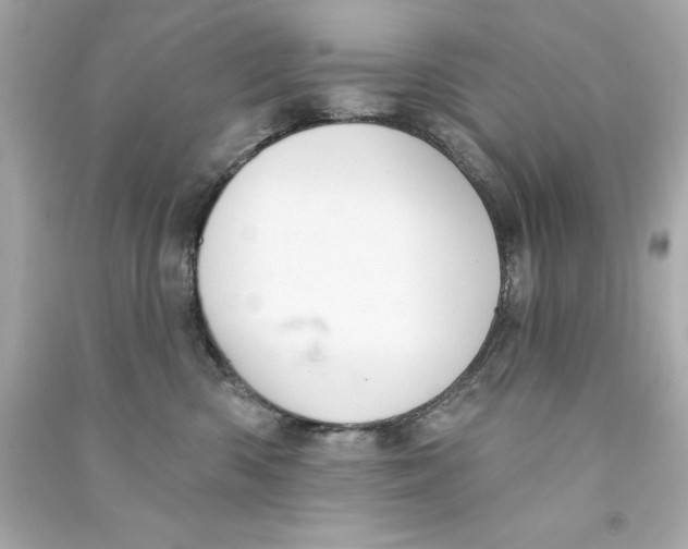 X0000090500426200708102245
