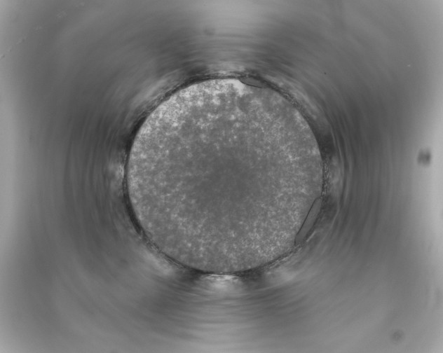 X0000090500427200708102245