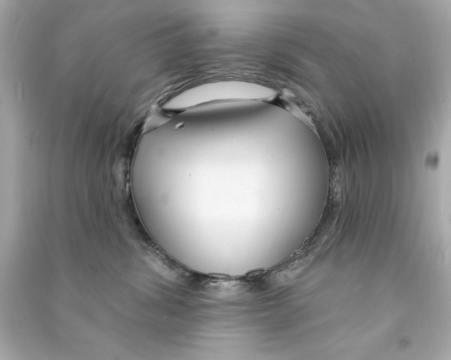 X0000090500428200708102245